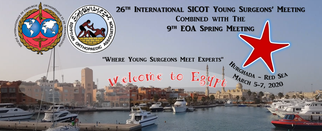 26th International SICOT Young Surgeons' Meeting